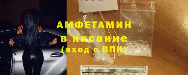 сатива Инсар