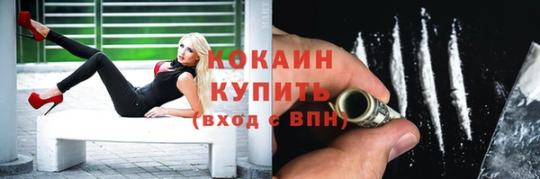 сатива Инсар