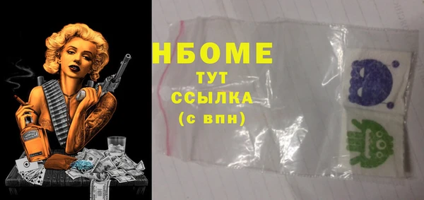 сатива Инсар