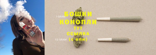 прущий лед Инта