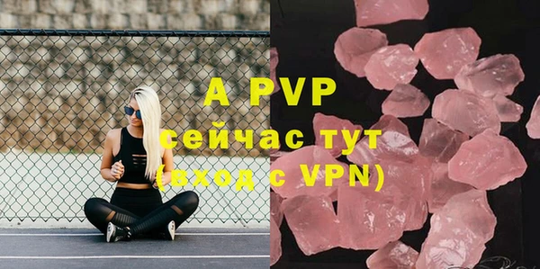 сатива Инсар