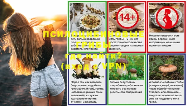 сатива Инсар