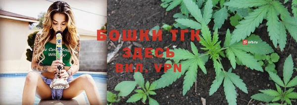 сатива Инсар